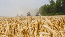 Россия в 2018 - 2019 сельхозгоду экспортировала 39 млн тонн зерна